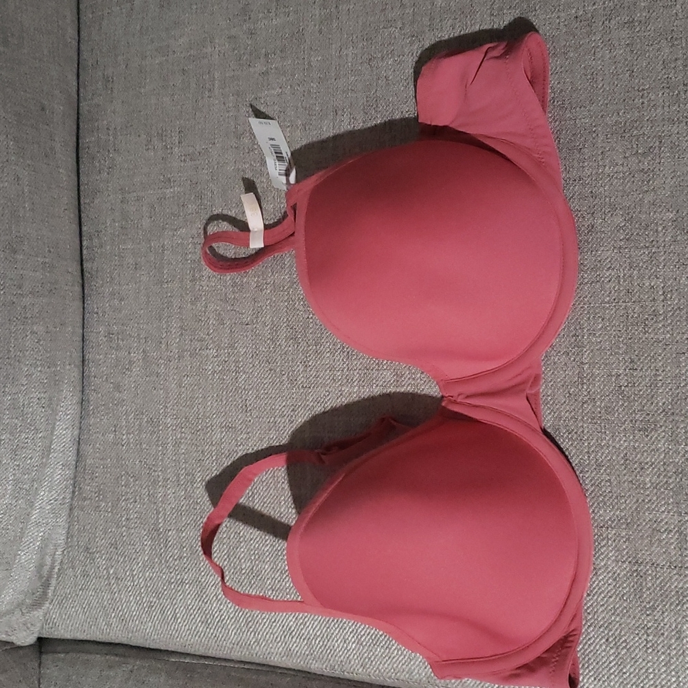 GAP Bra